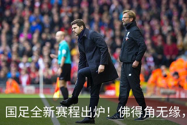 国足全新赛程出炉！佛得角无缘，世界杯参赛队伍在列，邵佳一遇2大麻烦